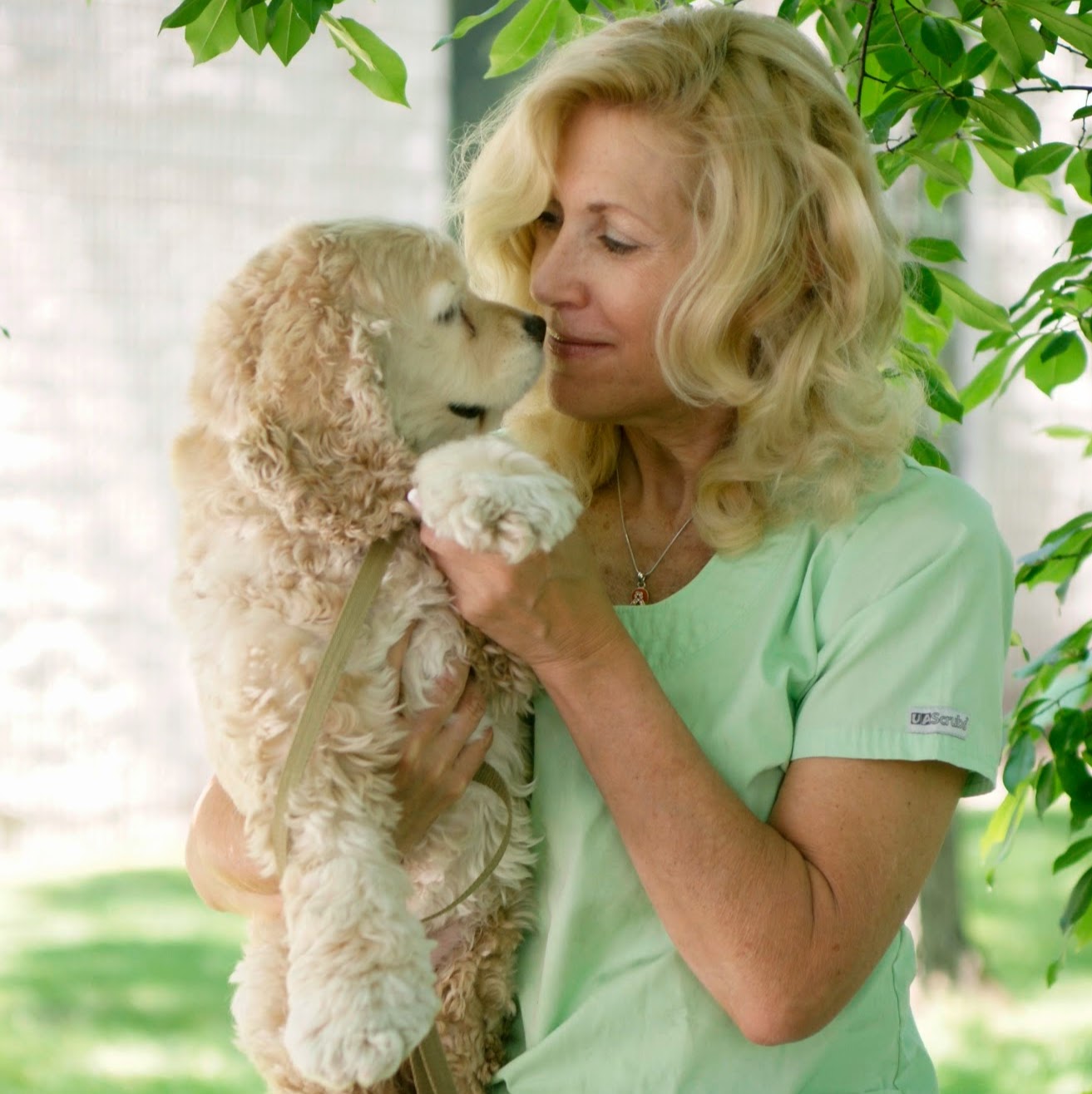 Cresskill Animal Hospital - Cresskill , United States