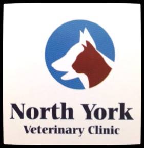 North York Veterinary Clinic - North York , Canada