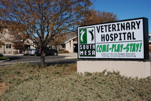 South Mesa Veterinary Hospital - Fort Collins , United States