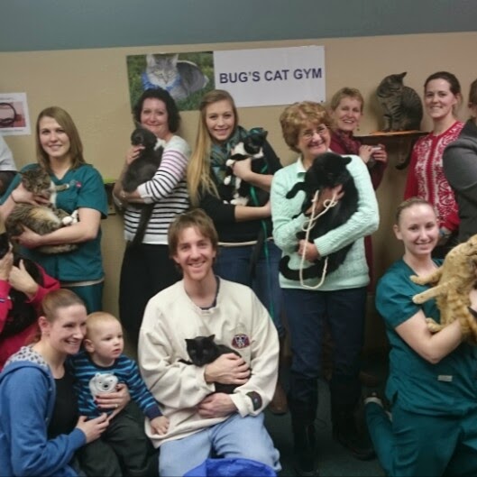 West Towne Veterinary Center - Madison , United States