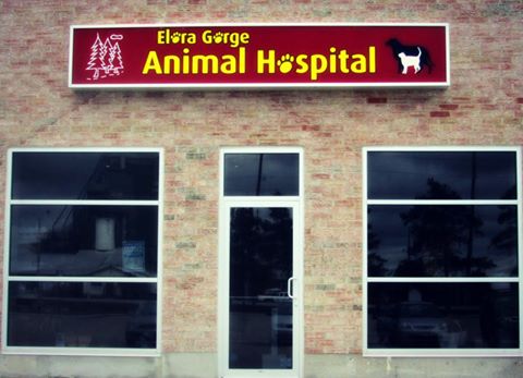 Elora Gorge Animal Hospital - Elora , Canada