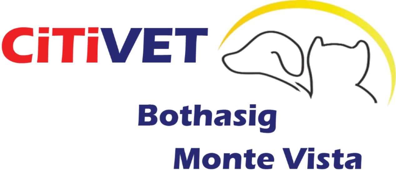 Citivet Bothasig - Cape Town , South Africa
