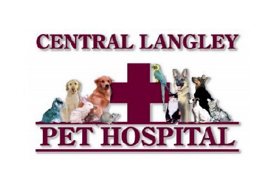 Central Langley Pet Hospital - Langley , Canada