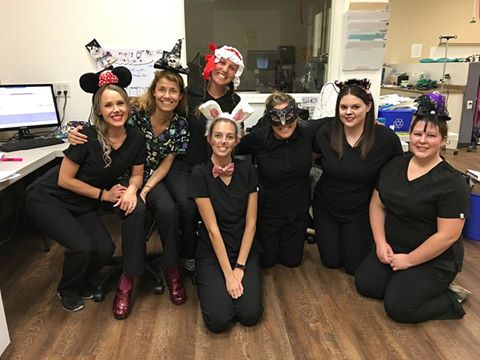 Saanichton Village Veterinary Hospital - Saanichton , Canada