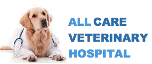 All Care Veterinary Centre - Killarney , Ireland