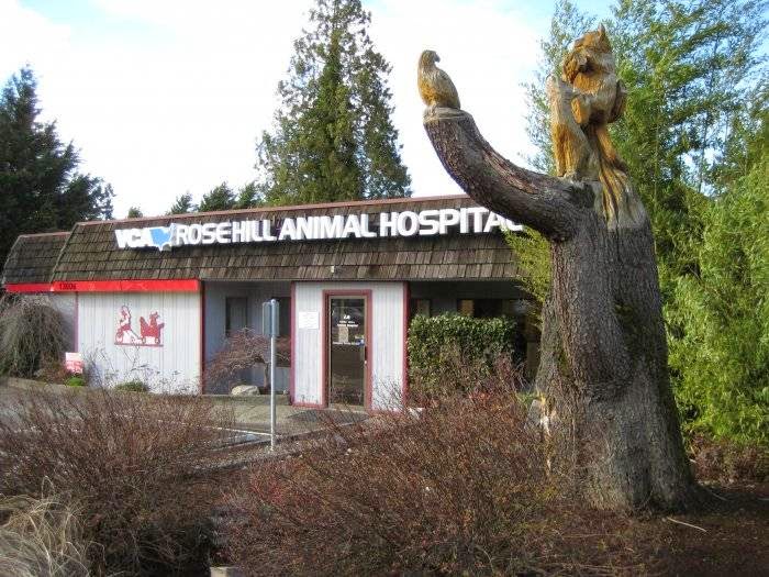 VCA Rose Hill Animal Hospital - Kirkland , United States