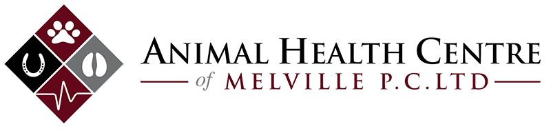 Animal Health Centre Of Melville - Melville , Canada