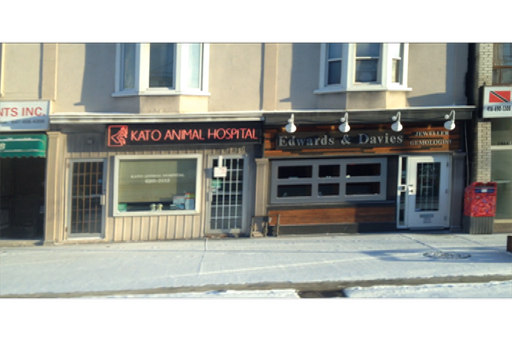 Kato Animal Hospital - Toronto , Canada