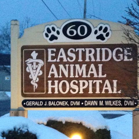 Lakeside Animal Hospital - Rochester , United States
