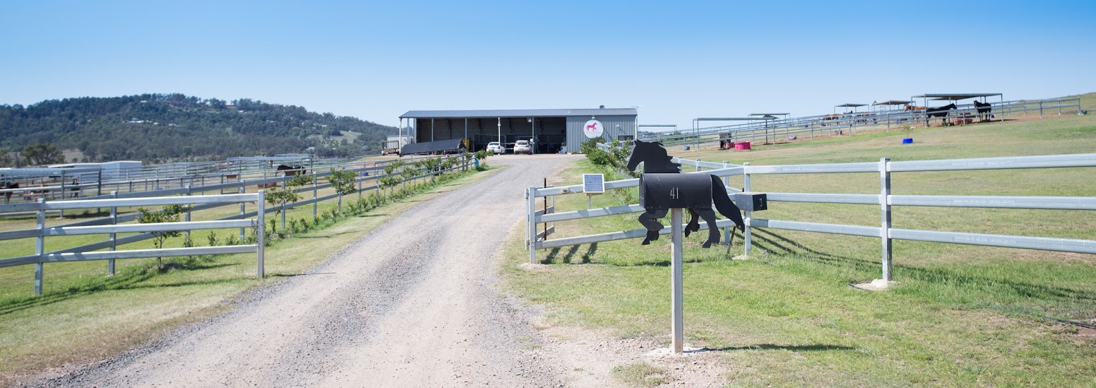 Exclusively Equine Veterinary Services - Hatton Vale , Australia