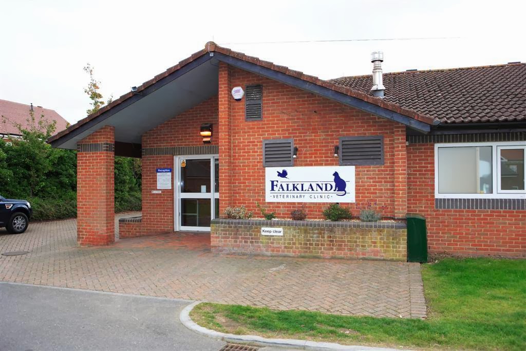 Falkland Veterinary Clinic Newbury - Newbury , United Kingdom