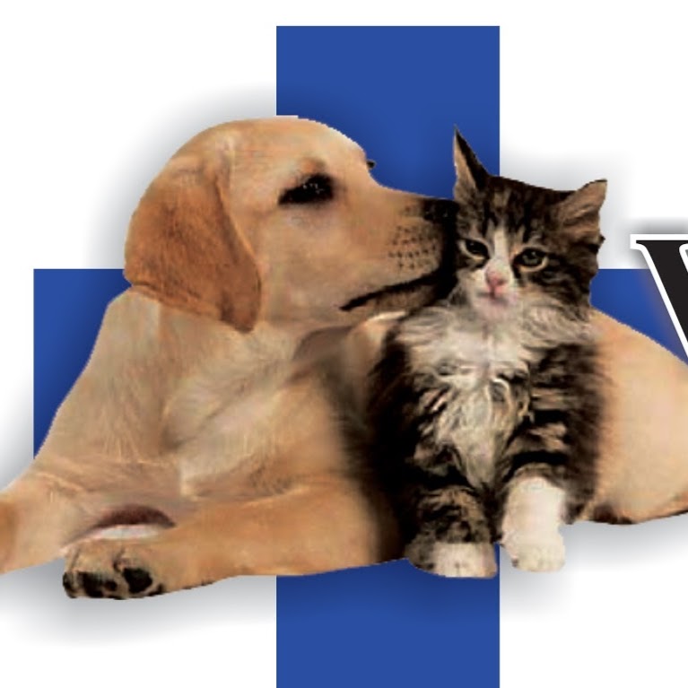 Stine Veterinary Hospital - Bakersfield , United States
