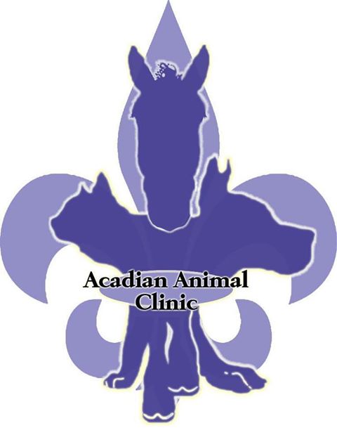 Acadian Animal Clinic East - Saint Gabriel , United States