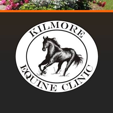 Kilmore Equine Clinic - Kilmore , Australia