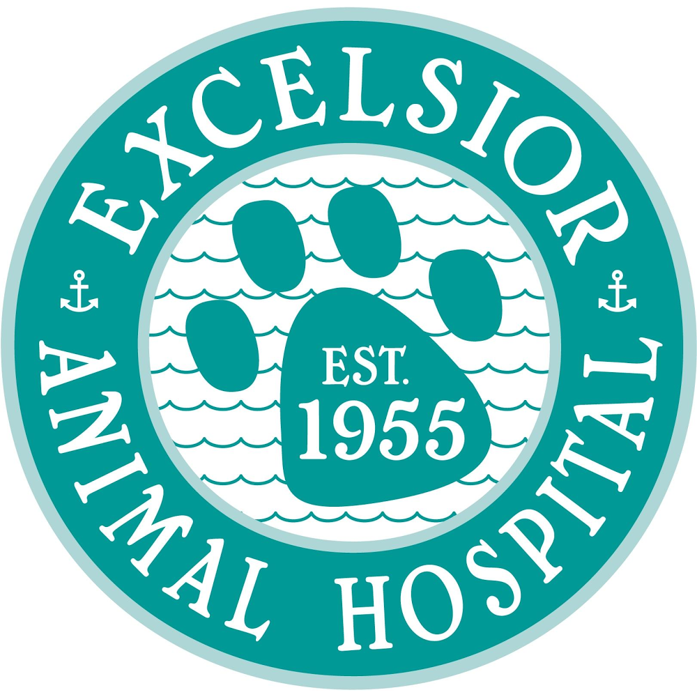 Excelsior Animal Hospital - Excelsior , United States