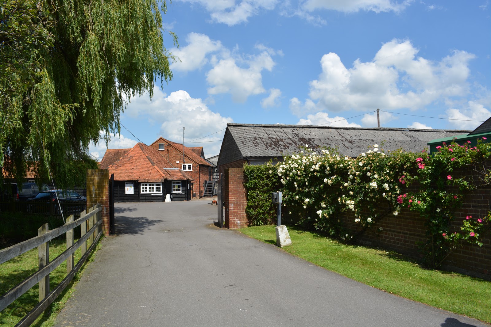 Kelperland Veterinary Centre - Maidenhead , United Kingdom