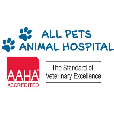 All Pets Animal Hospital - Sneads Ferry , United States