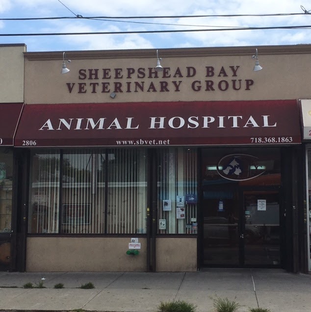Sheepshead Bay Veterinary Group - Brooklyn , United States