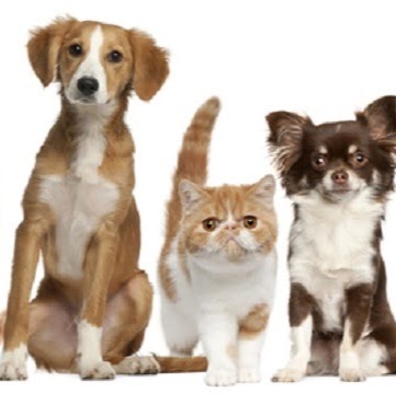 Solon Veterinary Clinic - Solon , United States