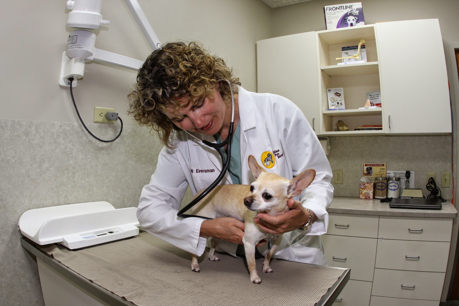 Edina Pet Hospital - Edina , United States