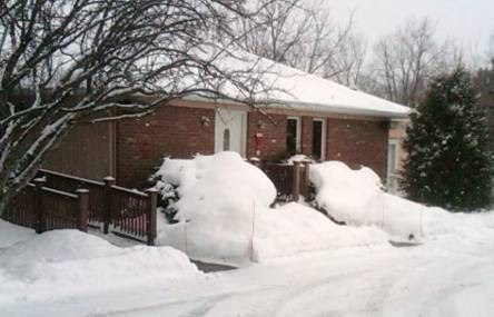 Perry Animal Clinic - Perry , United States