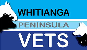 Peninsula Veterinary Services Whitianga - Whitianga , New Zealand