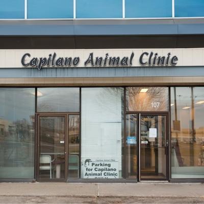 Capilano store animal clinic