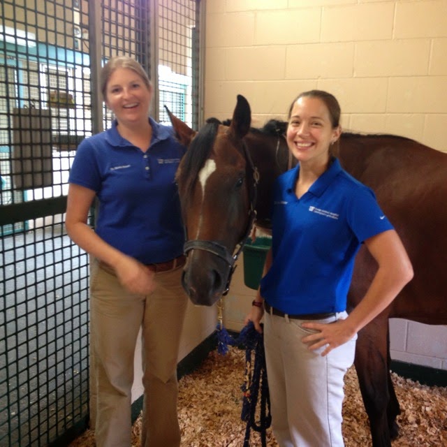 Large Animal Hospital Uf College Of Veterinary Medicine - Gainesville , United States