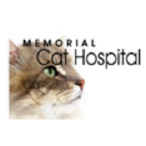 Memorial Cat Hospital - Houston , United States