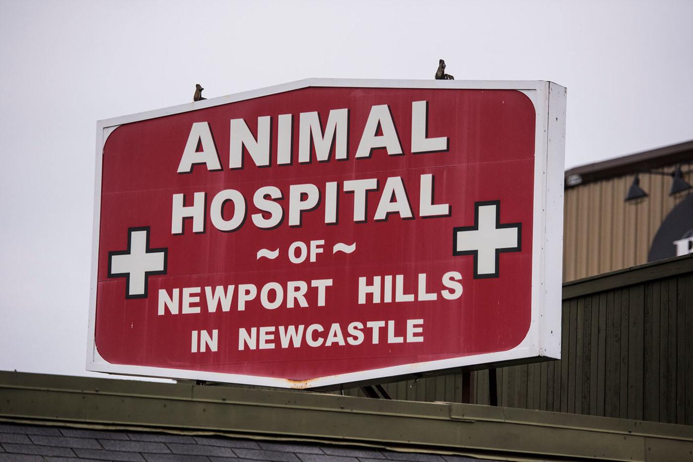 Animal Hospital Of Newport Hills - Newcastle , United States