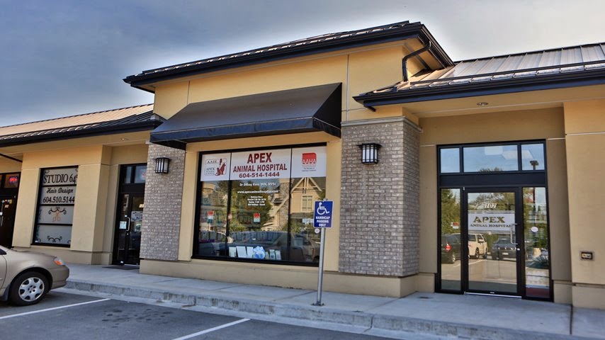 Apex Animal Hospital - Langley , Canada