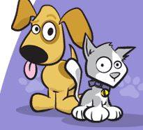 Pets At Home Veterinary - Madrid , United States
