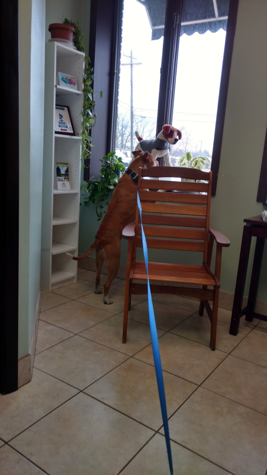 Total Pet Care - Toledo , United States