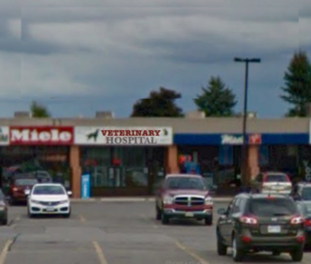 Quaker Hill Veterinary Hospital - Newmarket , Canada