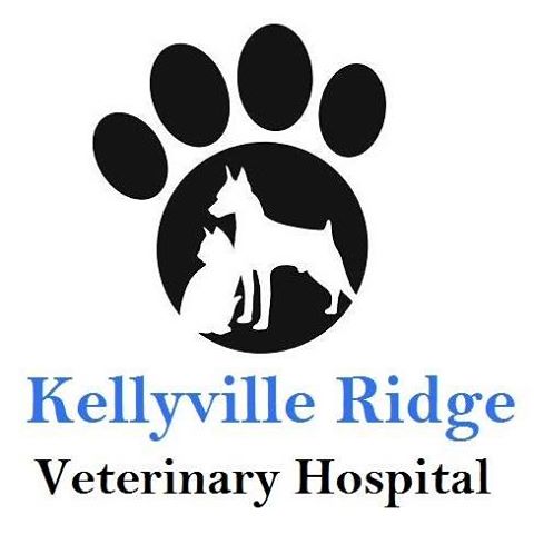 Kellyville Ridge Veterinary Hospital - Kellyville Ridge , Australia
