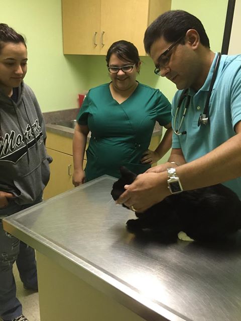 Care Veterinary Hospital - Fresno , United States