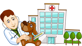 Animal Hospital Edmonton - Edmonton , Canada