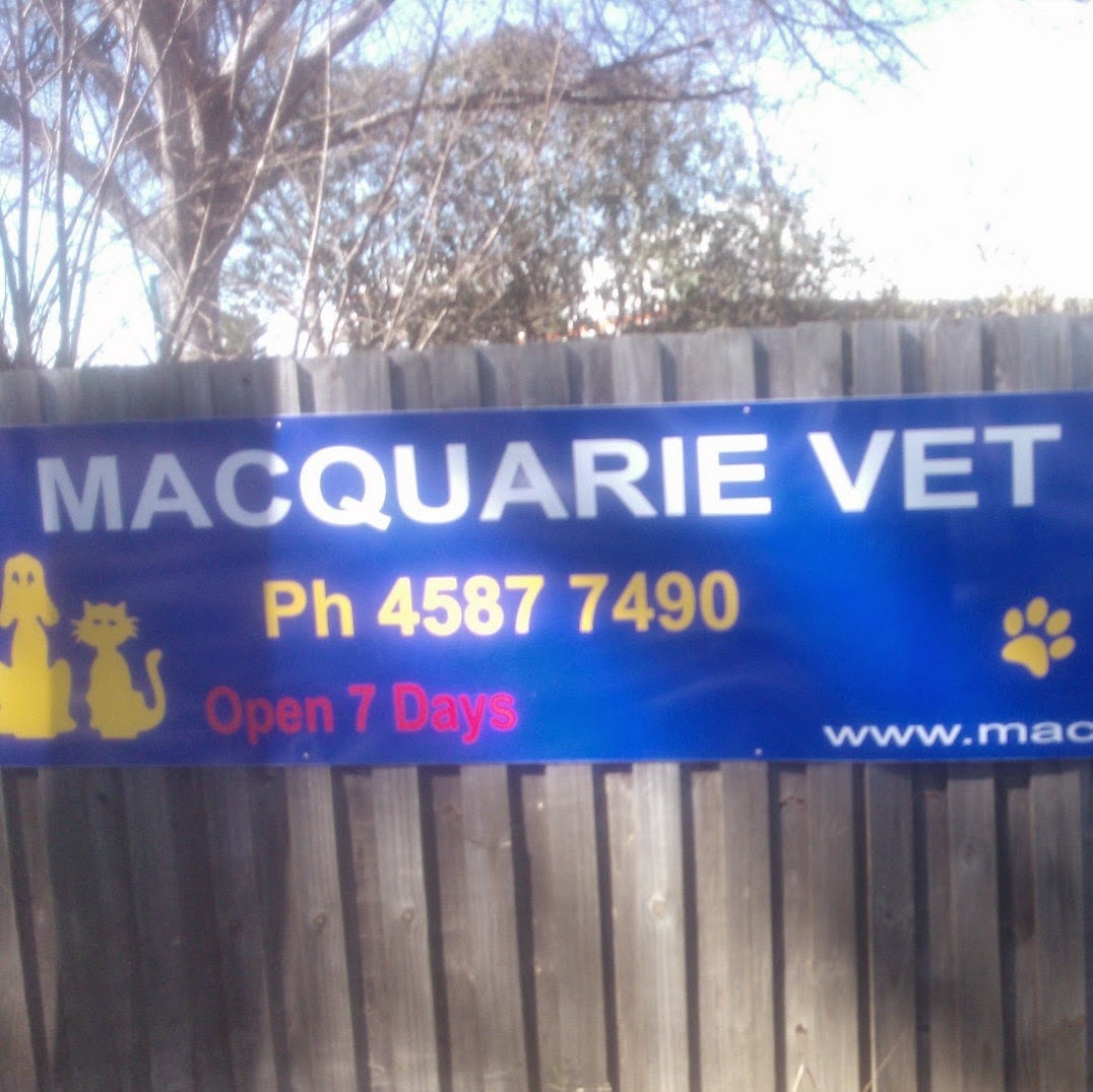 Macquarie Veterinary Clinic Windsor Nsw - Windsor , Australia