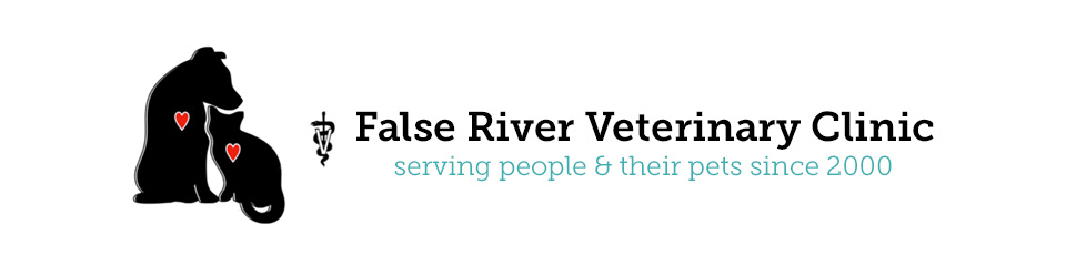 False River Veterinary Clinic - New Roads , United States