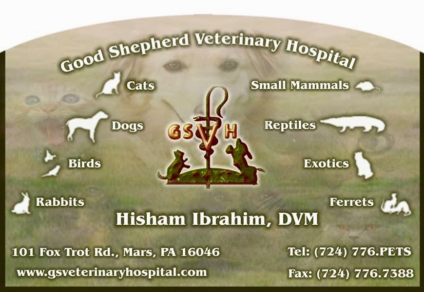 Good Shepherd Veterinary Hospital - Mars , United States