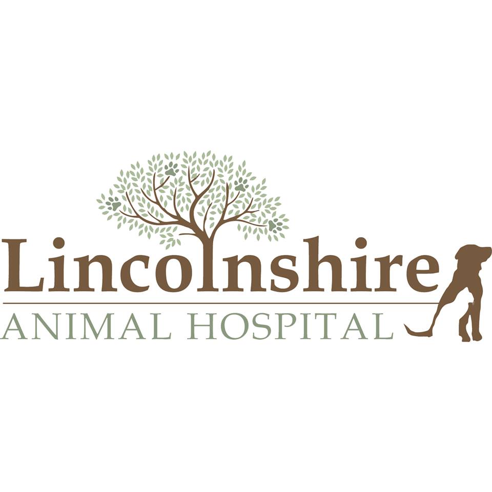 Lincolnshire Animal Hospital - Lincolnshire , United States
