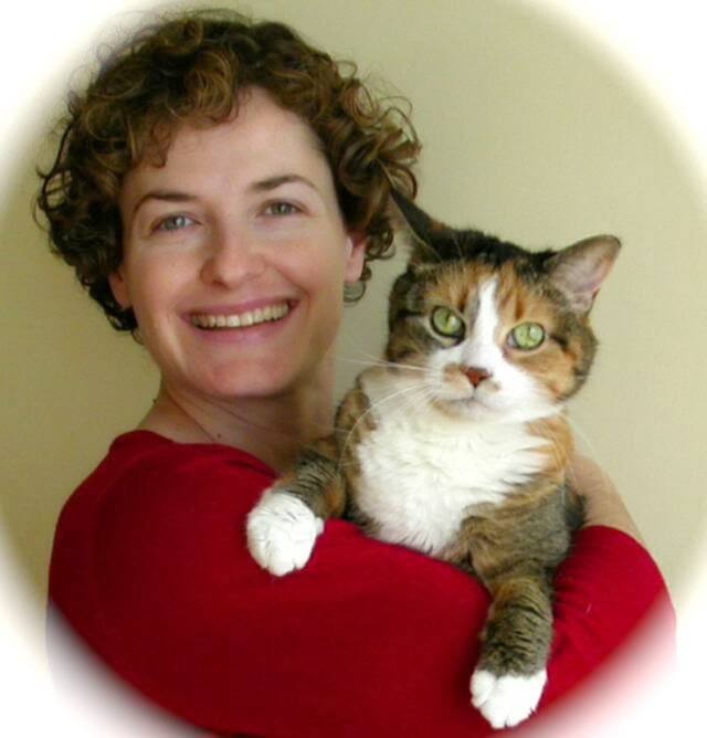 London Cat Clinic - London , Canada