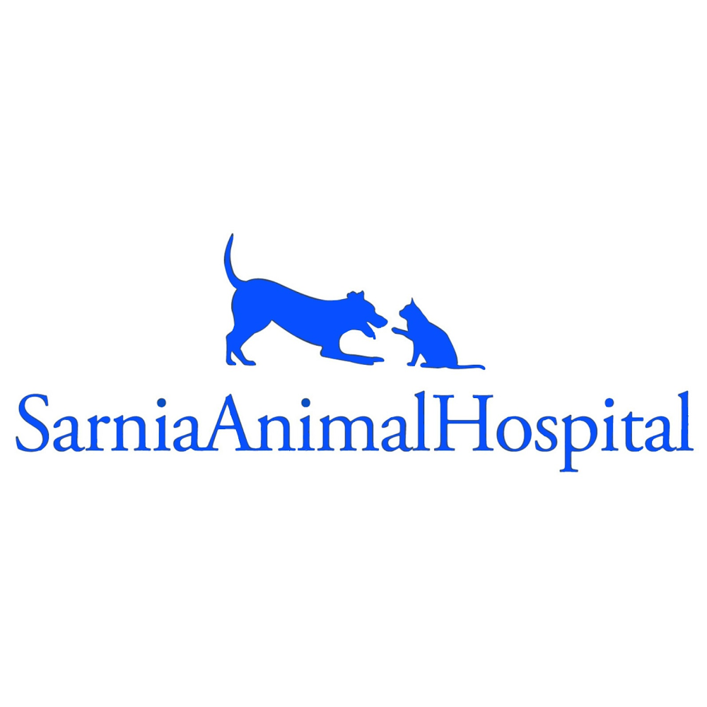 Sarnia Animal Hospital - Sarnia , Canada