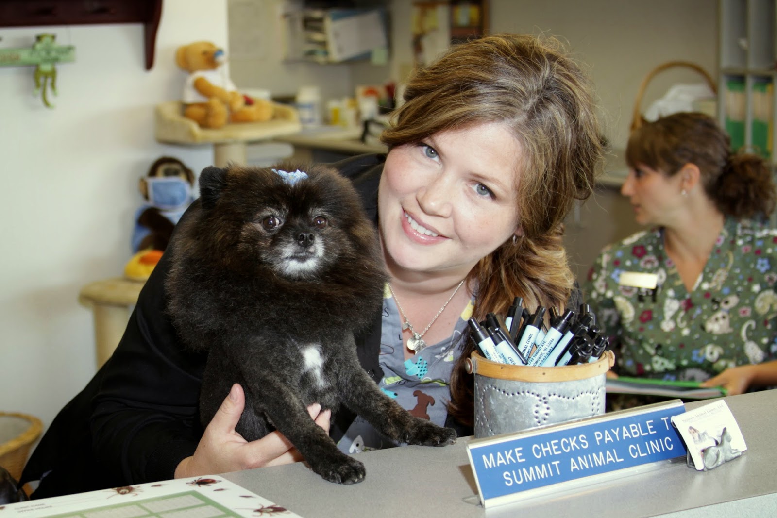Summit Animal Clinic - Oconomowoc , United States