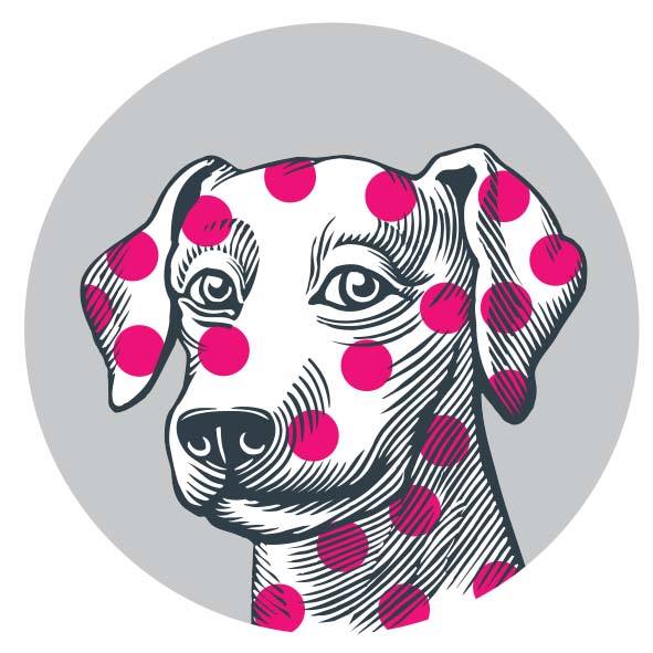 Village Vet Milton - Cambridge , United Kingdom