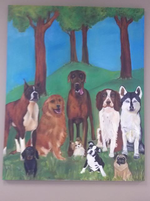 Halls Animal Hospital - Knoxville , United States