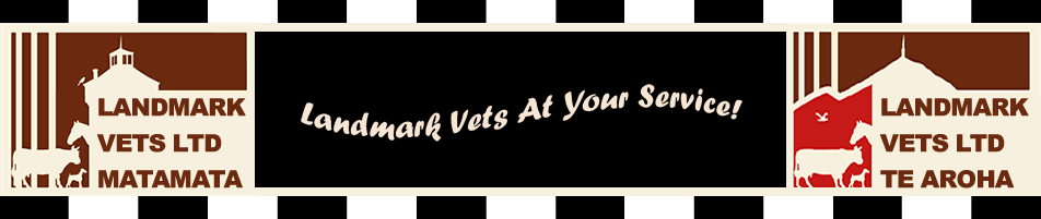 Kaimai Vets - Matamata , New Zealand