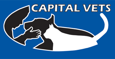Drumm Veterinary Hospital - Castleton-On-Hudson , United States