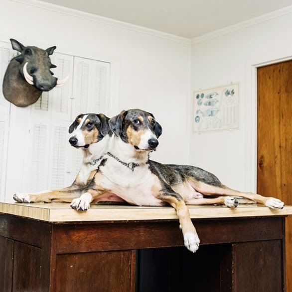Reveiller Veterinary Clinic - Lafayette , United States