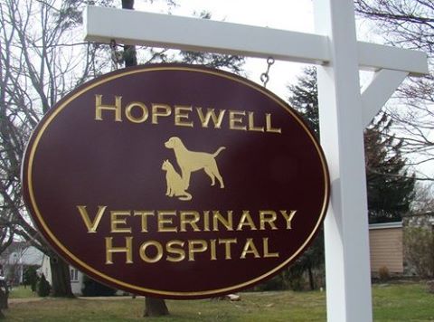 Hopewell Veterinary Hospital - Jenkintown , United States